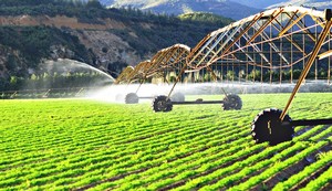 champs irrigation