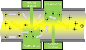 Modules de polarisation électromagnétique spécifiques